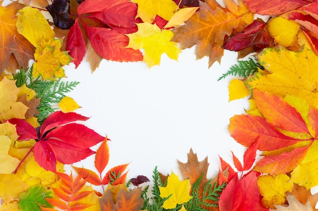 Natural fall leaves background