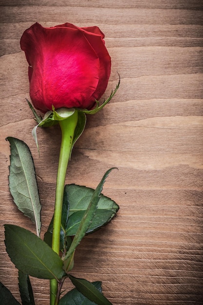 Natural flower on wood board holiday concept