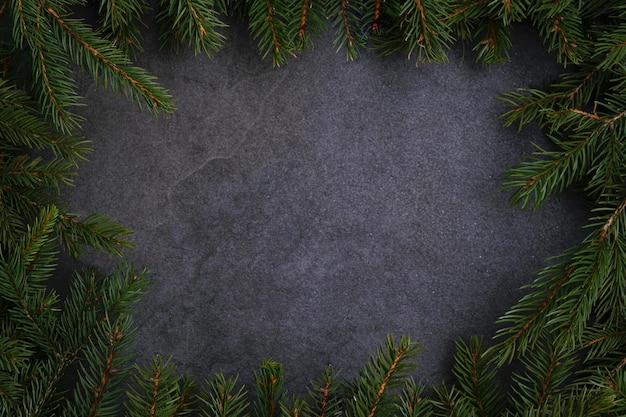 Natural forest template spruce branches on black vintage stone\
background with copy space