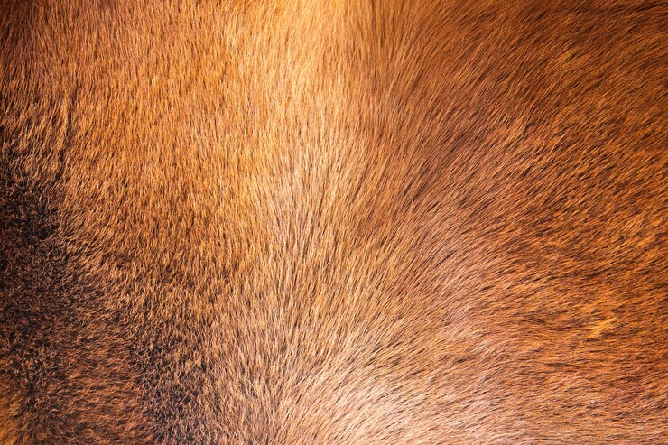 फोटो natural fur texture background