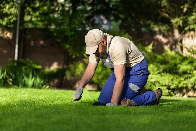 Natural Grass Turf Professional Installer.