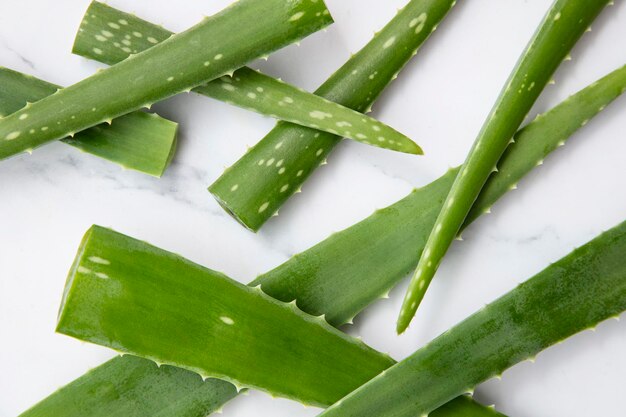 Natural green aloe vera stem health and well being background