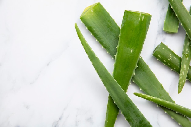 Natural green aloe vera stem health and well being\
background