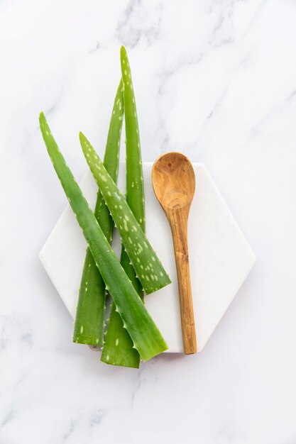 Natural green aloe vera stem health and well being background