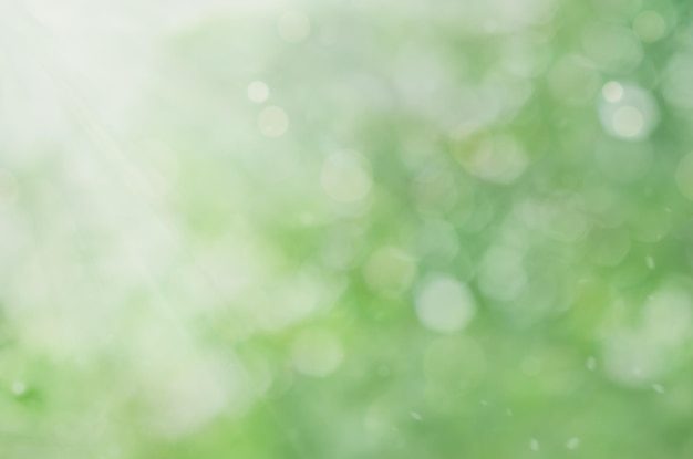 Natural green background with blurred bokeh