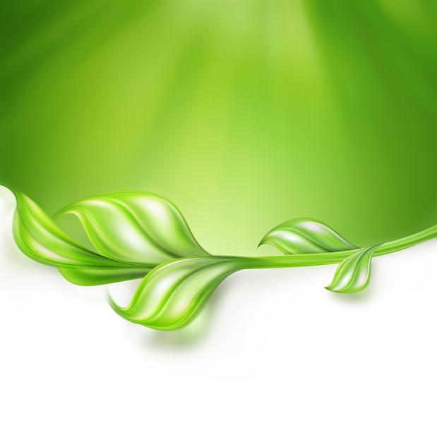 Natural green background with branche and leaves