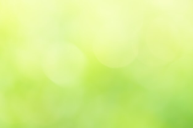 Photo natural green background