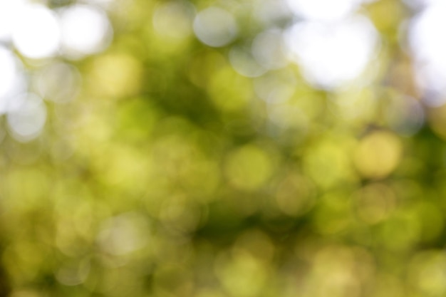 Sfondo di foglie di autunno blured verde naturale con bokeh