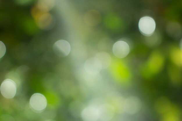 Natural green blurred abstract for background