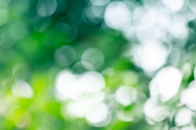 Natural green blurred abstract for summer 