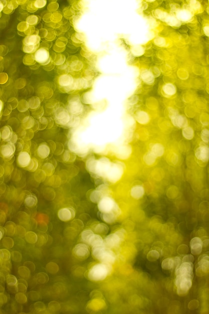 Natural green blurred background. Defocused green abstract background.