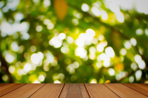 Natural green blurred background. Defocused green blurred background.