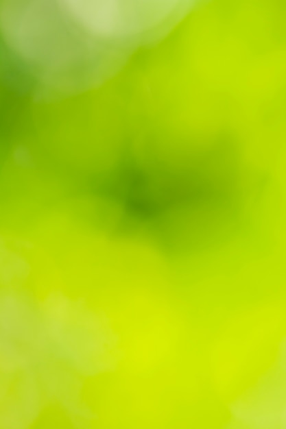 Natural green blurred background 