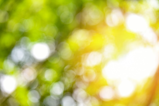 Photo natural green bokeh and yellow sunlight colorful texture background