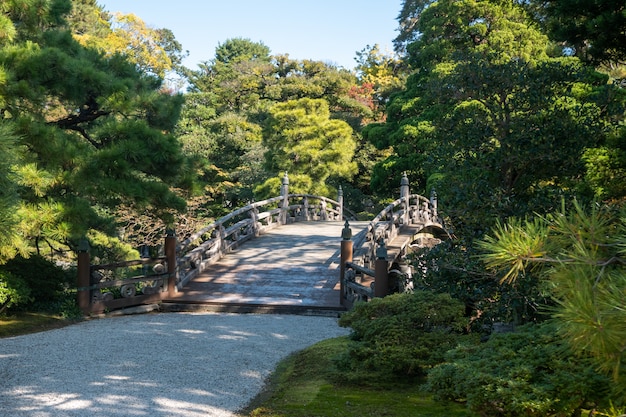 日本庭園の自然の緑の木々