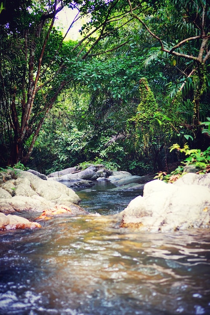 The natural green of waterfalls and forests.