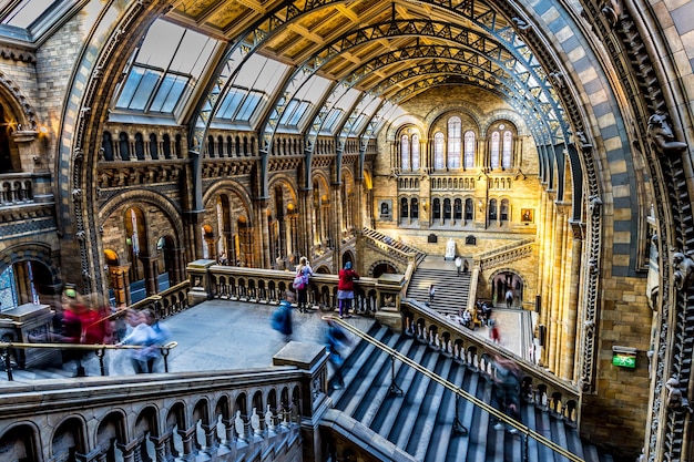 Premium Photo Natural History Museum London premium-photo-natural-history-museum-london