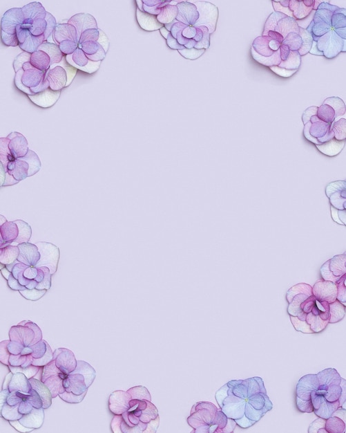 Natural Hydrangea flower minimal floral frame violet monochrome colored Layout with fresh flowers