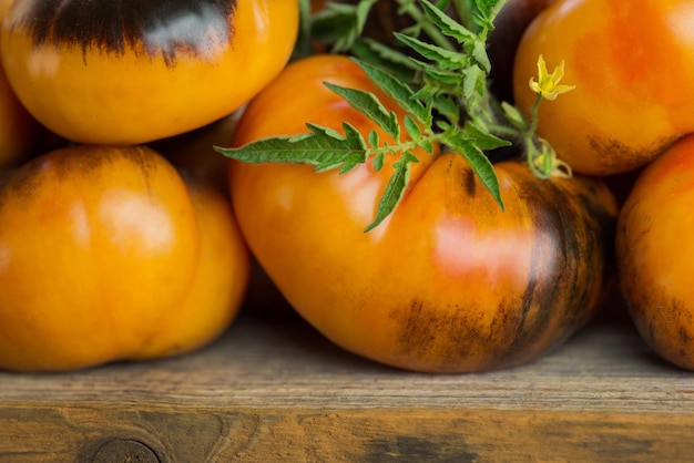 Natural juicy tomatoes Beauty King on vintage texture white background