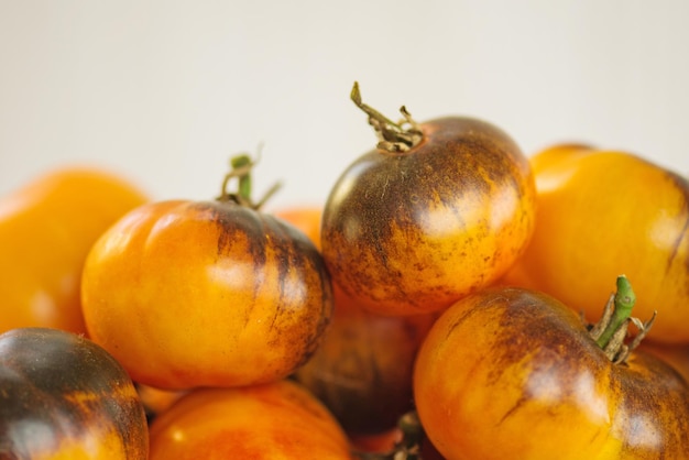 Natural juicy tomatoes Beauty King with leaves on old retro vintage texture white background