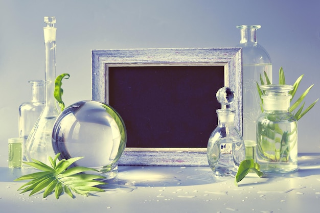 Natural laboratory. Text Take Care of Yourself on blackboard. Exotic green leaves in transparent glass jars, vials, Petri dishes. Reflections, floral elements distorted in water. Purple toned image.