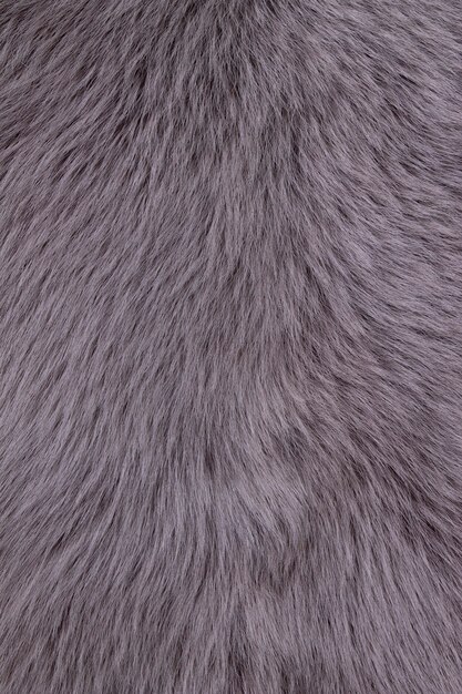 Natural lamb fur color gray background