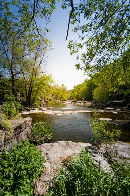 Paesaggio naturale del bellissimo fiume nella foresta in estate