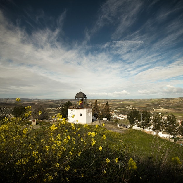 Photo natural landscape of the cordoba countryside