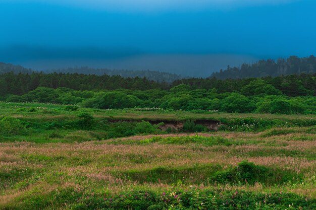 低い雨雲が山を覆う国後島の自然景観