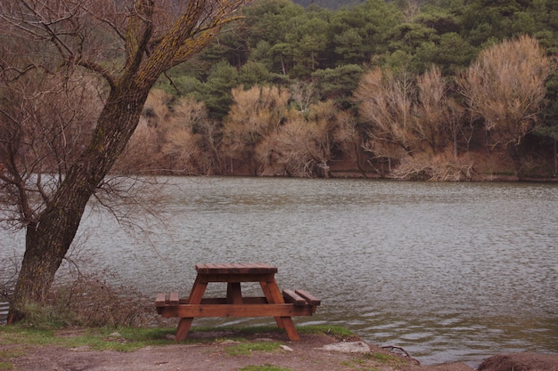 Un paesaggio naturale di lago, alberi gialli e verdi e banca