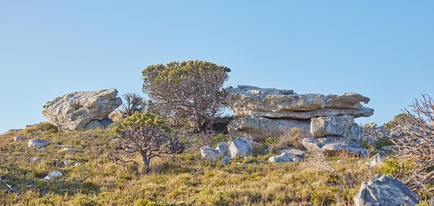 Natural landscape view of boulders and wilderness in nature Rocky grassy terrain on a peak of a mountain surrounded by a clear big blue sky on a sunny day Trees rocks and grass in the outdoors