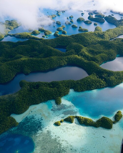 Foto paesaggio naturale visto della natura per l'uso