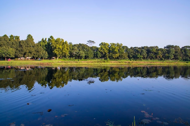 Natural landscape view Reflection of trees in the lake water against blue sky