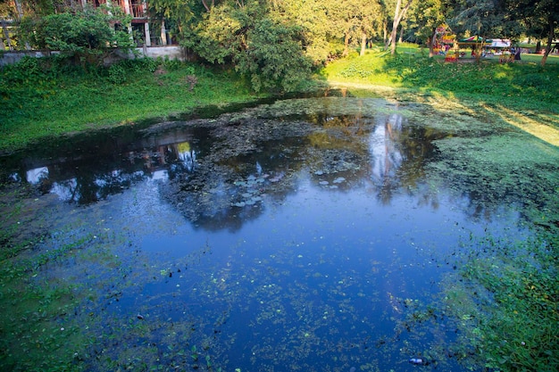 Natural landscape view Reflection of trees in the lake water against blue sky