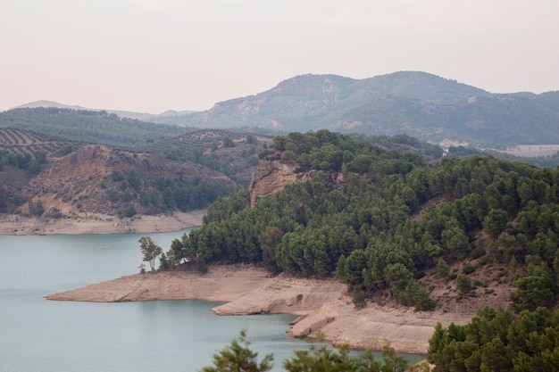 Foto paesaggio naturale con bellissimi alberi