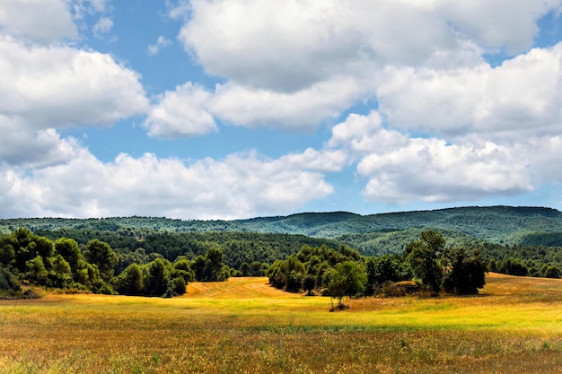 Natural landscape with blue sky and white clouds background.