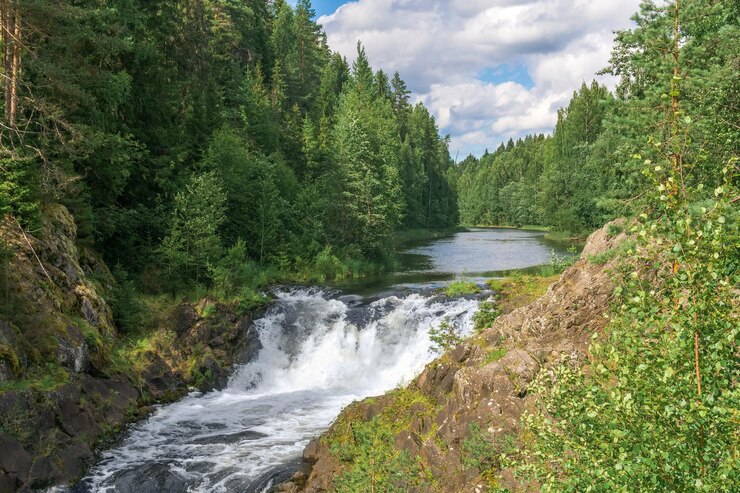 natural landscape with a clear waterfall on a forest water