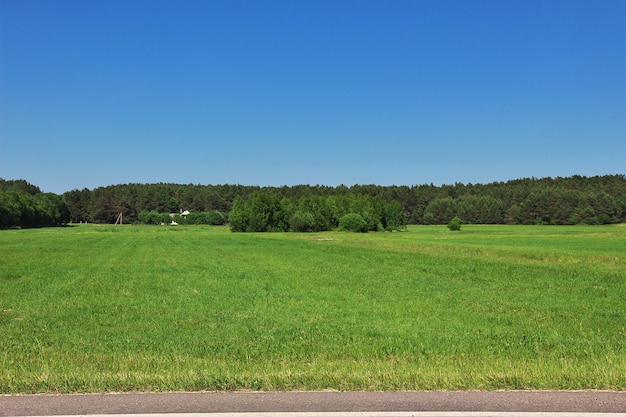 natural landscape with green field