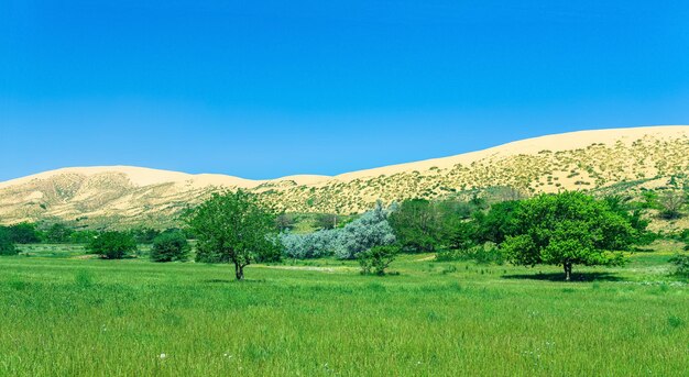 Paesaggio naturale con un'enorme duna di sabbia sarykum sullo sfondo