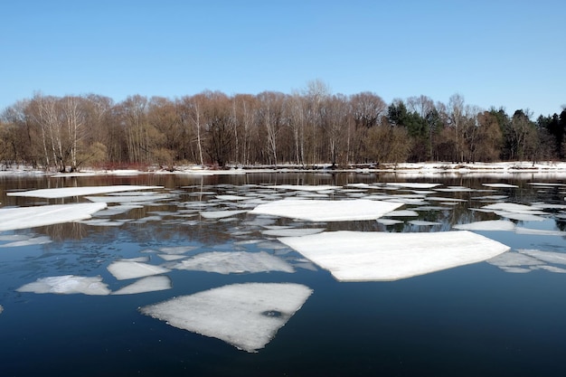 Natural landscape with ice drift on the spring river and forest trees on opposite river bank