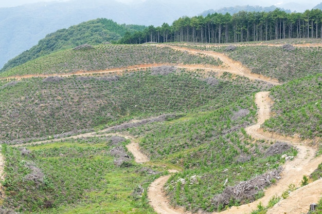 自然の風景