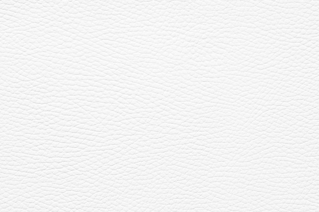 Natural leather texture white background with empty space