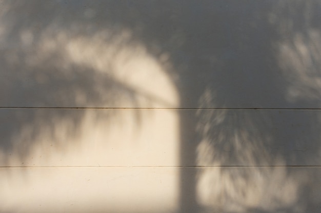 Natural leaves shadow on white concrete wall background.