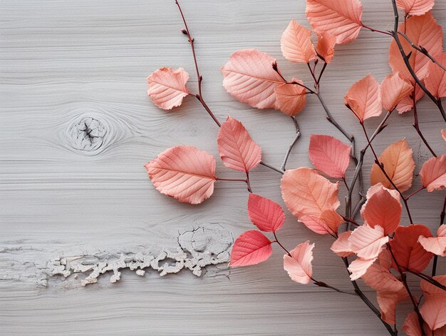 Natural leaves on the wood plank autumn season background