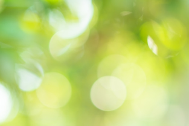 Natural light bokeh green circle background