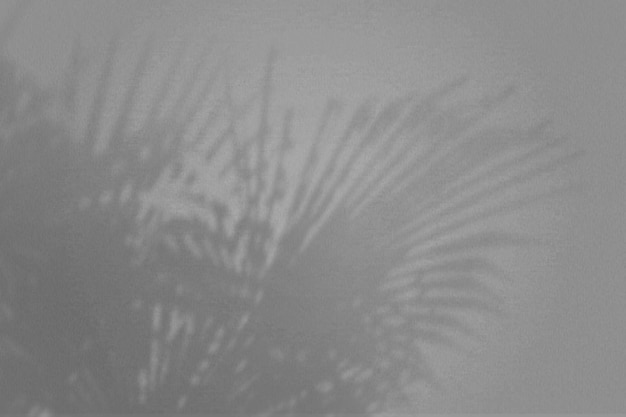 Photo natural light casts shadows from the leaves of branches of tropical plants