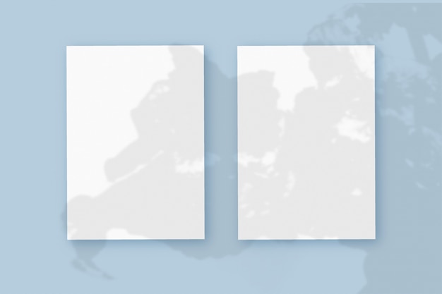 Естественный свет отбрасывает тени от растений на 2 вертикальных листа белой текстурированной бумаги, лежащих на синем текстурированном фоне. Макет.
