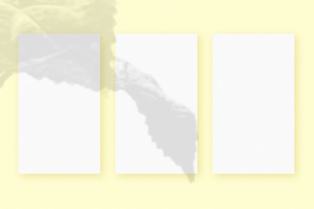 Естественный свет отбрасывает тени от растений на 3 вертикальных листа белой текстурированной бумаги, лежащих на желтом текстурированном фоне. Макет.