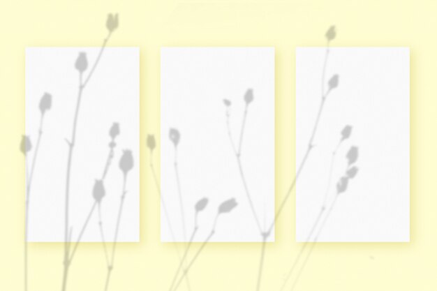 자연광은 노란색 질감 배경에 놓인 흰색 질감 종이 형식의 3개의 수직 시트에 식물의 그림자를 드리웁니다. 모형