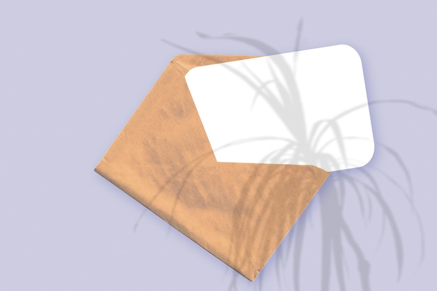 Natural light casts shadows from the plant on an envelope with a sheet of white paper lying on a violet textured background